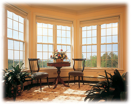 Windows House